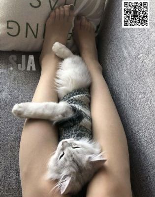 91在线观看入口_剧情片高清迅雷在线观看